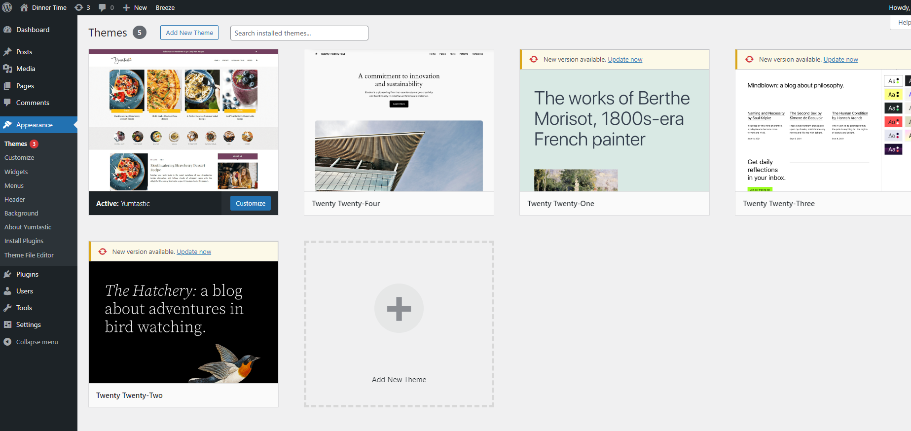 WordPress dashboard displaying theme options.
